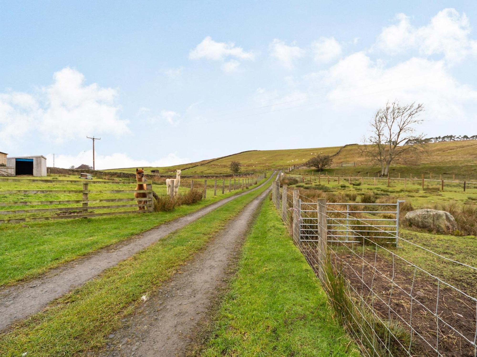 Вилла Ferny Rigg Byre - Uk3326 Falstone Экстерьер фото